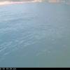 CachumaMay102025_22hh11mm01ss