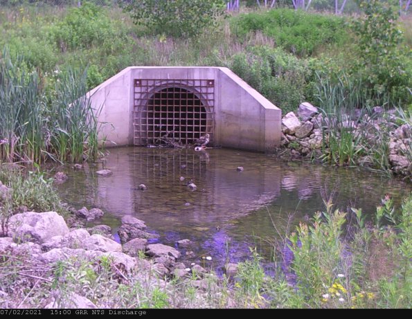 GRRNTS_DischargeJul022021_17hh13mm01ss