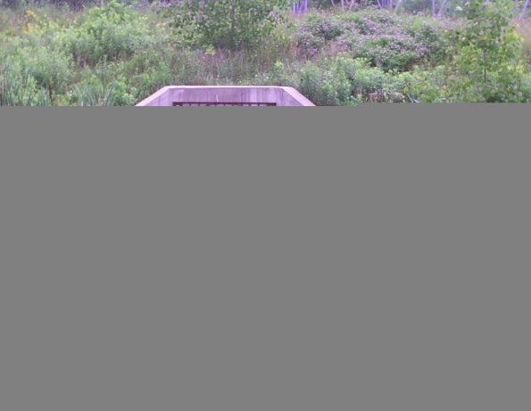 GRRNTS_DischargeJul082021_12hh13mm00ss