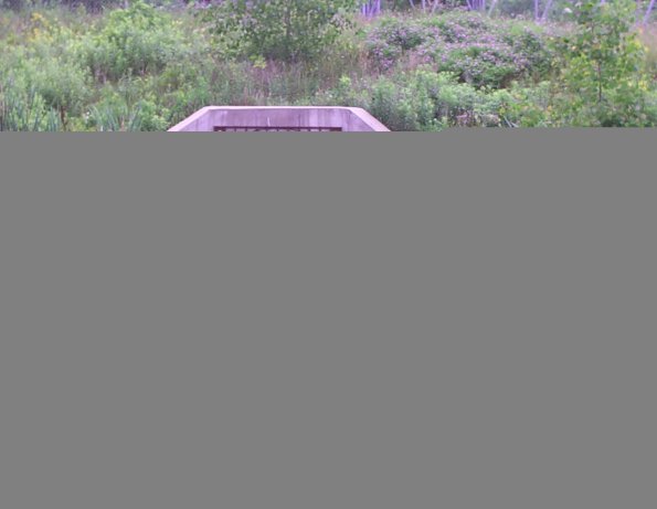 GRRNTS_DischargeJul082021_13hh13mm00ss