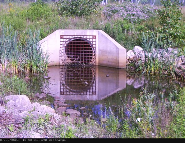 GRRNTS_DischargeJul102021_ 1hh13mm00ss