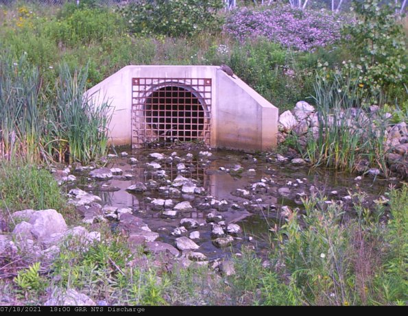 GRRNTS_DischargeJul192021_ 5hh13mm00ss