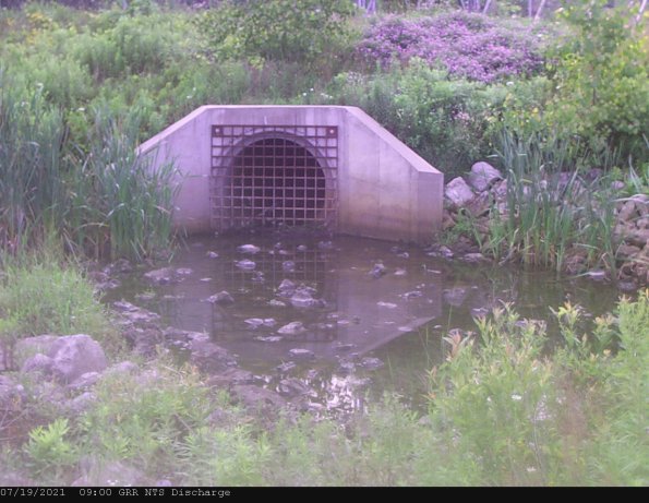 GRRNTS_DischargeJul192021_ 9hh13mm00ss
