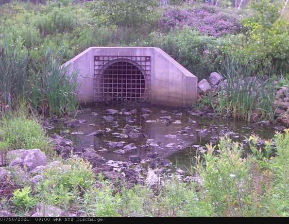 GRRNTS_DischargeJul202021_10hh13mm01ss