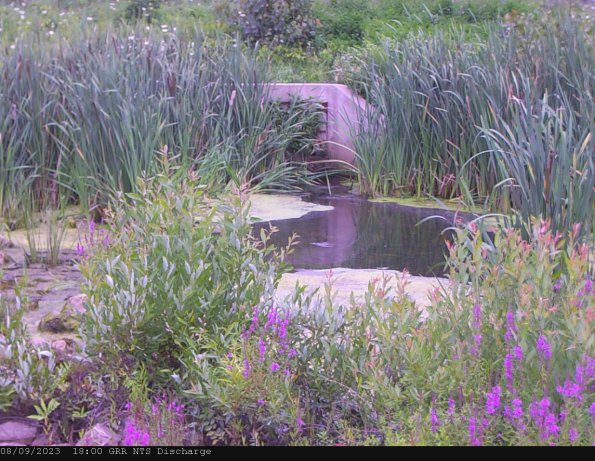 GRRNTS_DischargeAug092023_18hh13mm01ss