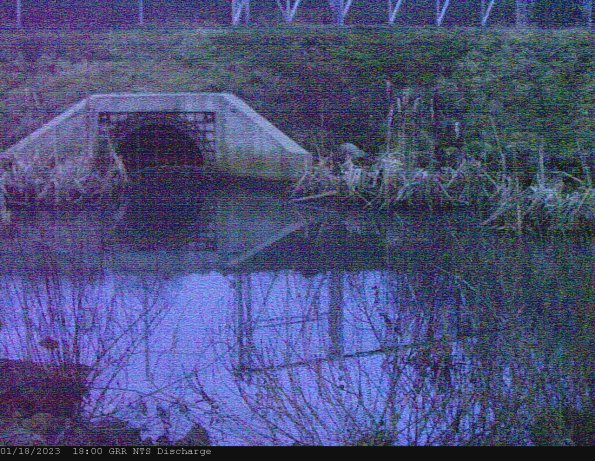 GRRNTS_DischargeJan192023_ 3hh13mm00ss