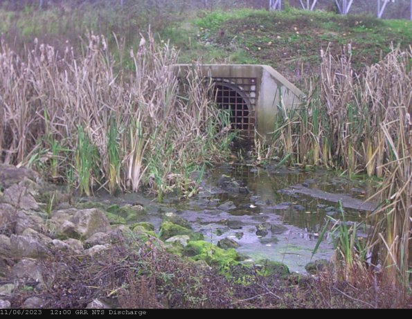 GRRNTS_DischargeNov062023_12hh13mm01ss