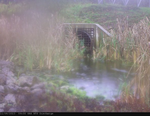 GRRNTS_DischargeNov082023_ 9hh13mm01ss