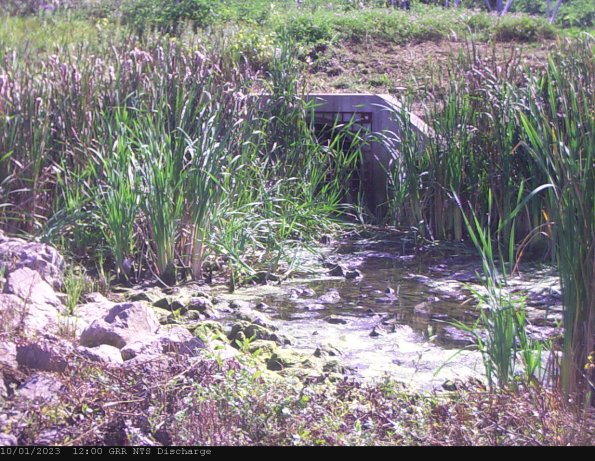 GRRNTS_DischargeOct012023_12hh13mm01ss