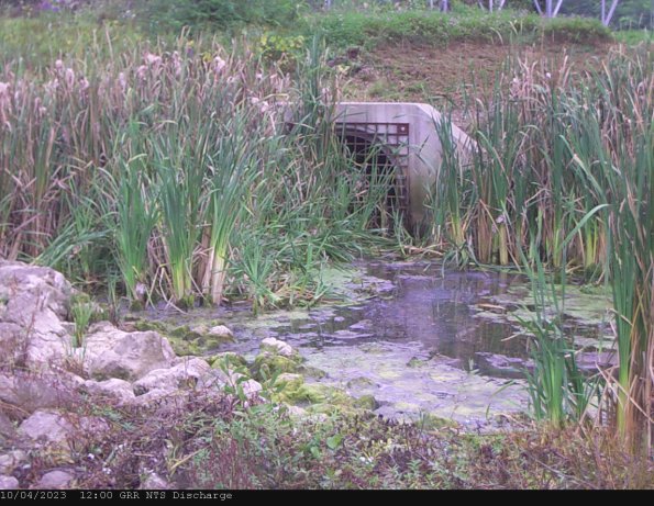 GRRNTS_DischargeOct042023_12hh13mm01ss