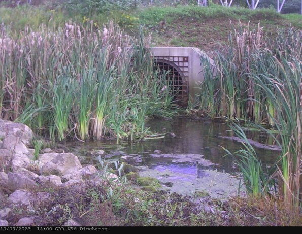 GRRNTS_DischargeOct092023_15hh13mm01ss