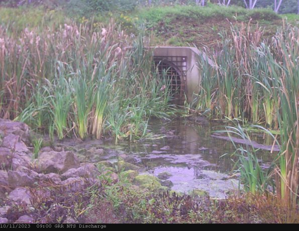 GRRNTS_DischargeOct112023_ 9hh13mm00ss