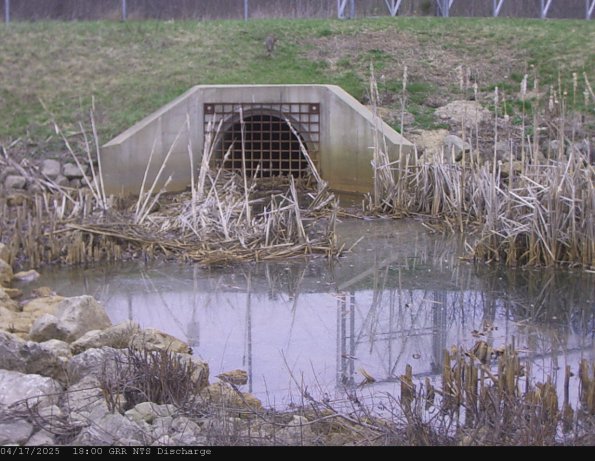 GRRNTS_DischargeApr172025_18hh13mm01ss