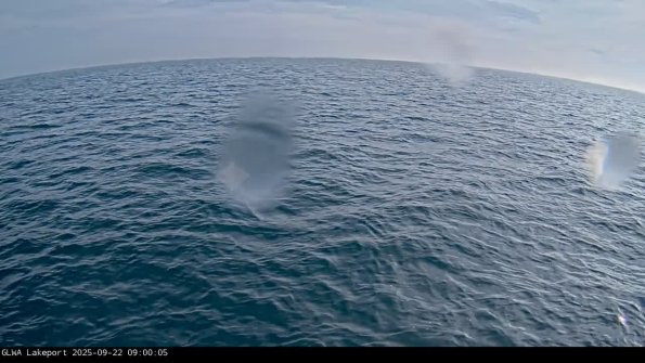 LakeportSep222025_ 9hh02mm00ss