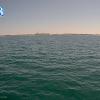 PortSheldonApr112026_13hh03mm01ss