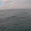 PortSheldonApr122026_19hh03mm00ss