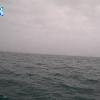 PortSheldonApr152026_14hh03mm01ss