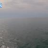 PortSheldonApr172026_17hh03mm01ss
