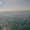 PortSheldonApr222026_17hh03mm00ss