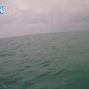 PortSheldonApr242026_11hh03mm01ss