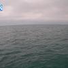 PortSheldonApr242026_12hh03mm00ss