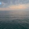 PortSheldonApr242026_19hh03mm00ss