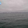 PortSheldonApr262026_11hh03mm00ss