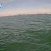 PortSheldonApr262026_16hh03mm00ss