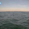 PortSheldonApr262026_19hh03mm00ss