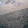 PortSheldonApr272026_18hh03mm01ss