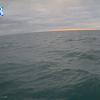 PortSheldonApr272026_20hh03mm00ss