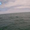 PortSheldonApr282026_12hh03mm01ss