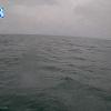 PortSheldonApr292026_13hh03mm00ss