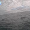 PortSheldonApr292026_16hh03mm01ss