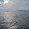 PortSheldonJun232026_ 8hh03mm00ss