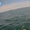 PortSheldonJun232026_12hh03mm00ss