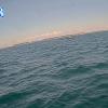 PortSheldonJun232026_18hh03mm00ss