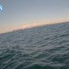 PortSheldonJun232026_19hh03mm00ss
