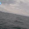 PortSheldonJun242026_17hh03mm01ss