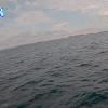 PortSheldonJun262026_19hh03mm00ss