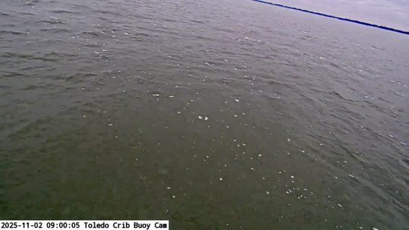 ToledoNov022025_ 9hh06mm01ss