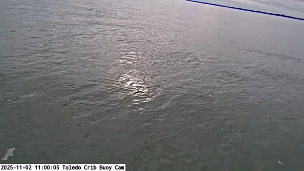 ToledoNov022025_11hh06mm01ss