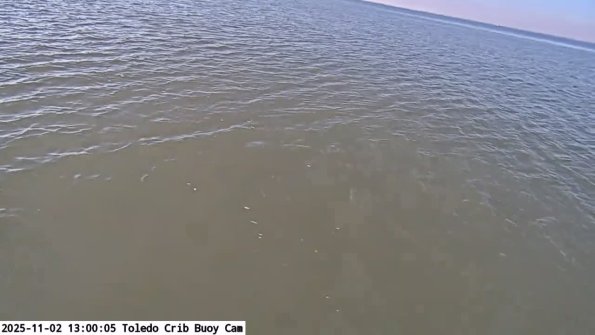 ToledoNov022025_13hh06mm01ss