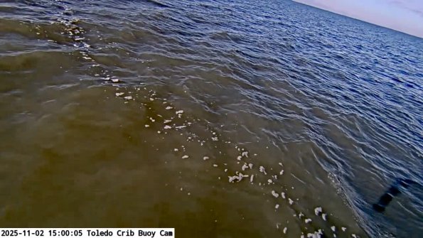 ToledoNov022025_15hh06mm01ss