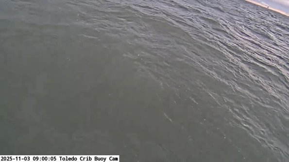 ToledoNov032025_ 9hh06mm01ss