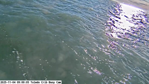 ToledoNov042025_ 9hh06mm00ss