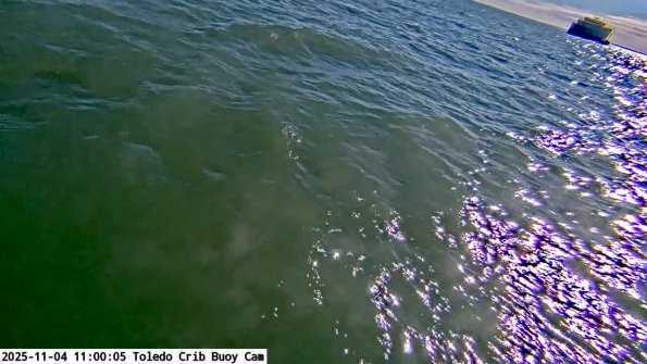 ToledoNov042025_11hh06mm00ss