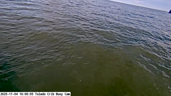 ToledoNov042025_16hh06mm00ss