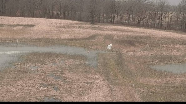 Cell 1 to 2 Monitoring-22-04-07_10-17-08-46