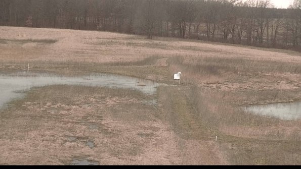 Cell 1 to 2 Monitoring-22-04-07_15-27-50-36